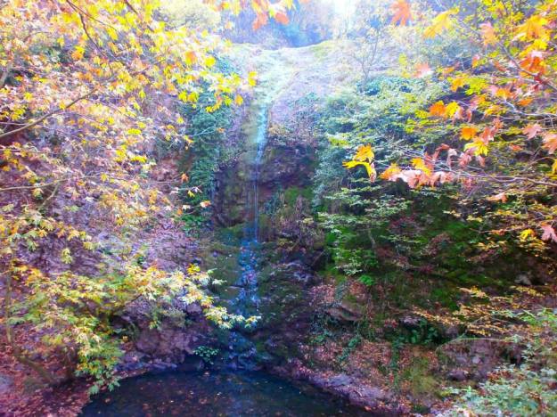 555835_244634935692181_2080323517_n