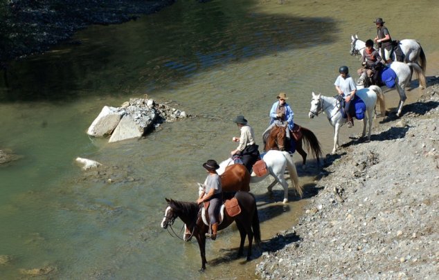 horses-at-river-edge