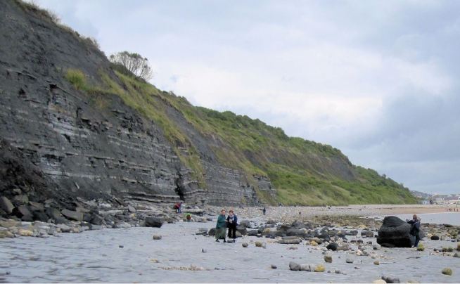 11LYM-Rock-Roll-Out-brief-m