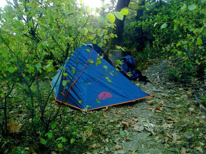 1382081_10151868961508329_219310132_n