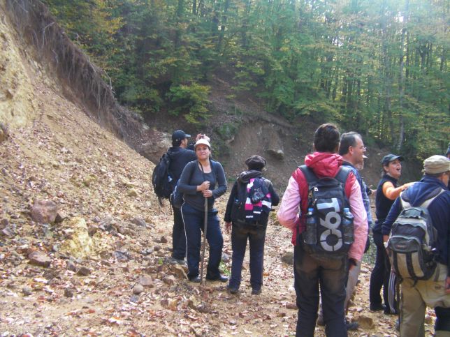 178135_10151225422139651_1281919254_o