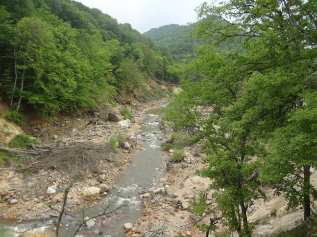 411641_351696671558132_142819545779180_951121_1061455266_o