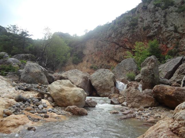 469538_351695631558236_142819545779180_951103_828773018_o