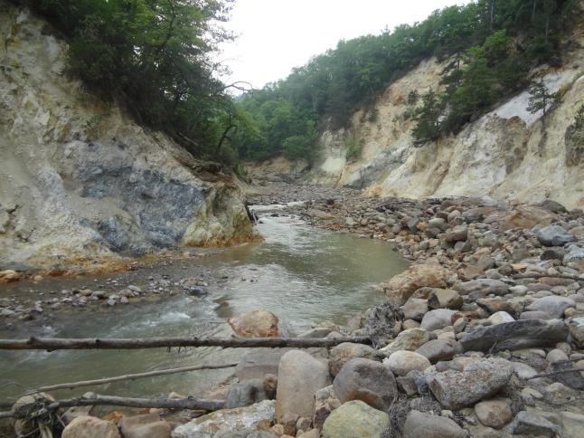 469726_351696594891473_142819545779180_951119_1269737592_o