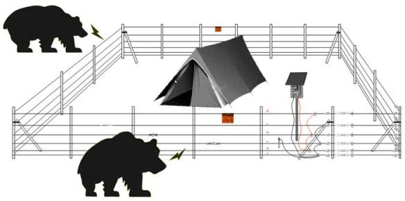 electric_bear_fence
