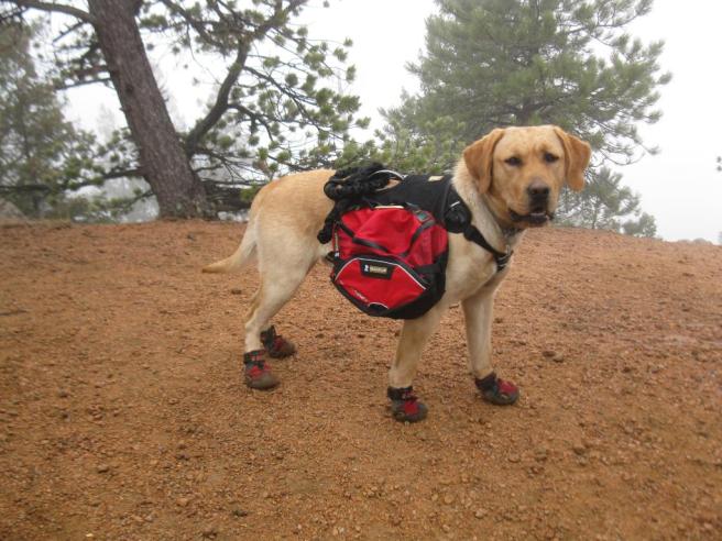 19649960_143003_full