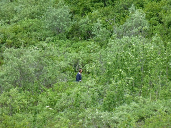 p1060385 (844 x 633)