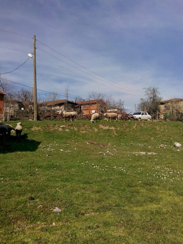 11072601_1599266396987138_917547365_n