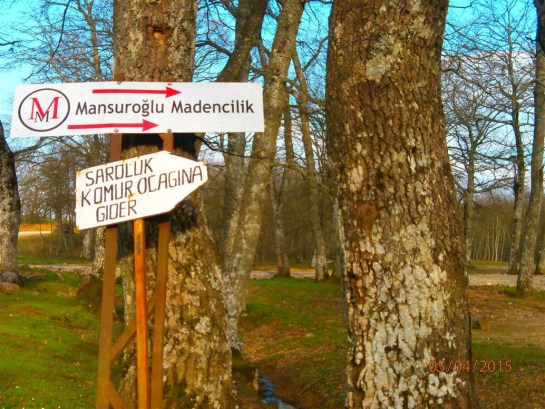 11130477_472926322863040_2343604508126931444_o