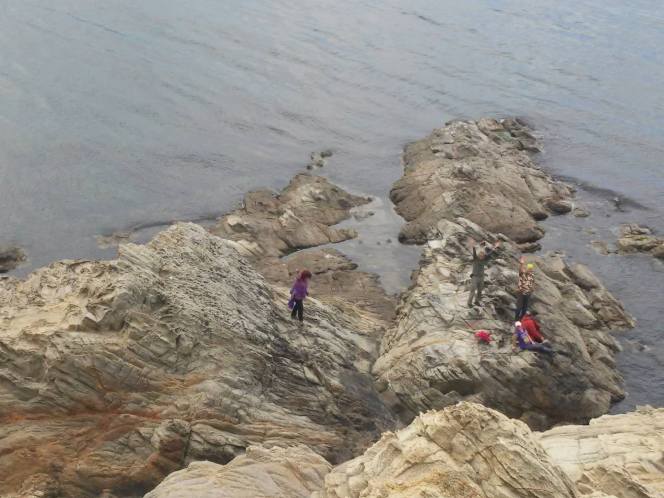 10669131_485035958318743_5627329084496489289_o