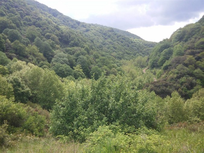 11164904_485035051652167_1167429552896848149_o (1024 x 768)