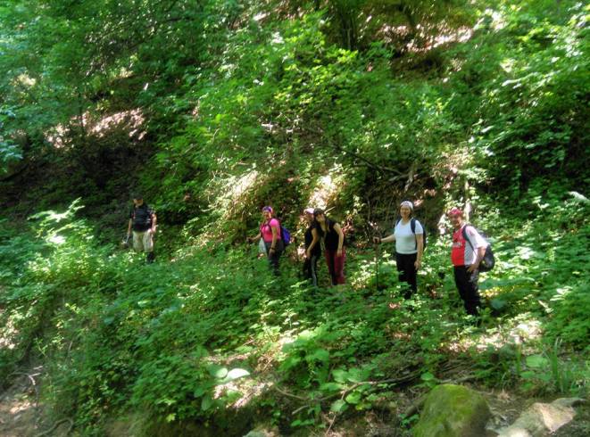 11295602_10152986315538063_699033597683457184_n