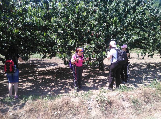 11329743_10152986328463063_7632142132098954979_n