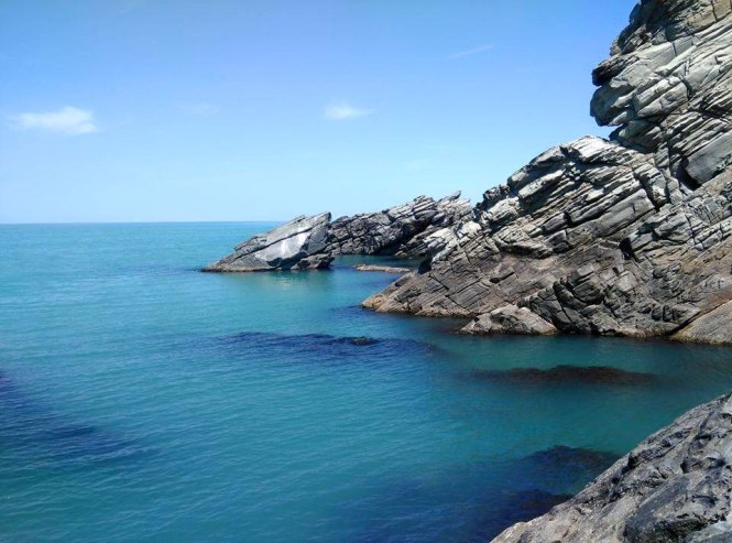 1619260_10203463299297884_4469427633875988469_n