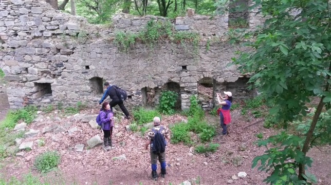 20150503_100234 (1077 x 605)