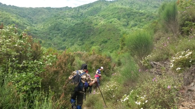 20150503_113106 (1077 x 605)