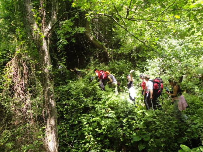 261688_10201195063701664_1576060307_n