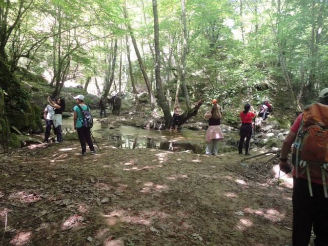 482492_10201195051741365_1120608051_n