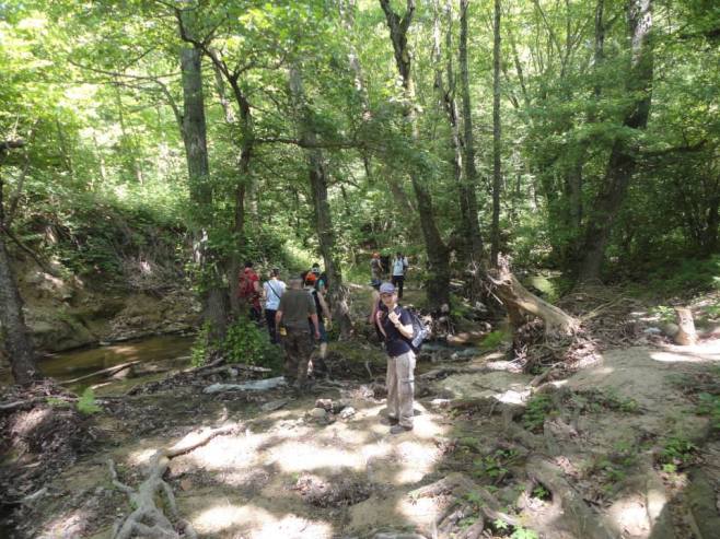 577611_10201195035300954_873420909_n