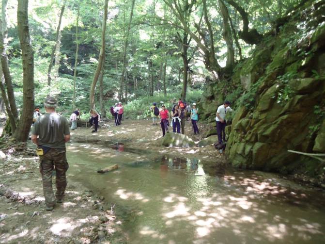 923073_246722292133975_197217166_n