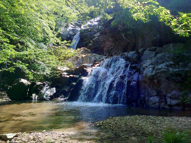 923102_10151566601648329_1805475722_n