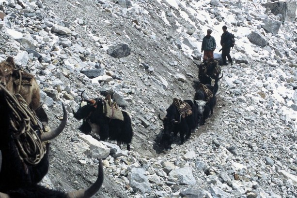 F1000037 (920 x 616)