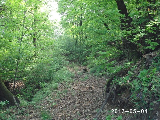 PHTO0055 (1296 x 972) (972 x 729)