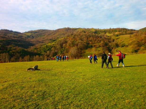 1003587_578072295681775_1861929129446554933_n