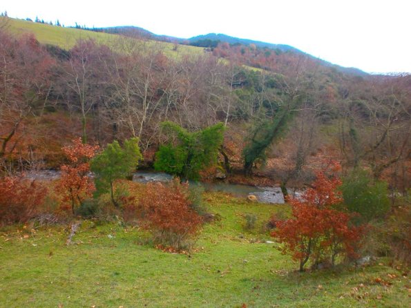 12495168_578073285681676_212025417979961500_n